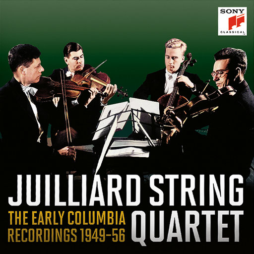 手机在线性爱片
